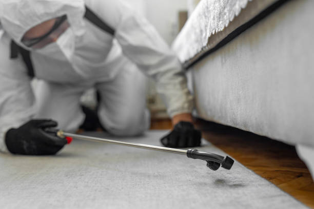 Professional Pest Control technician working in Cassopolis, MI