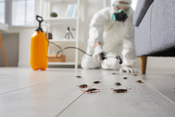 Trusted Termite Control service in Cassopolis, MI - Nex Pest Control