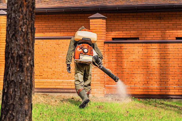 Trusted Cockroach Control service in Cassopolis, MI - Nex Pest Control